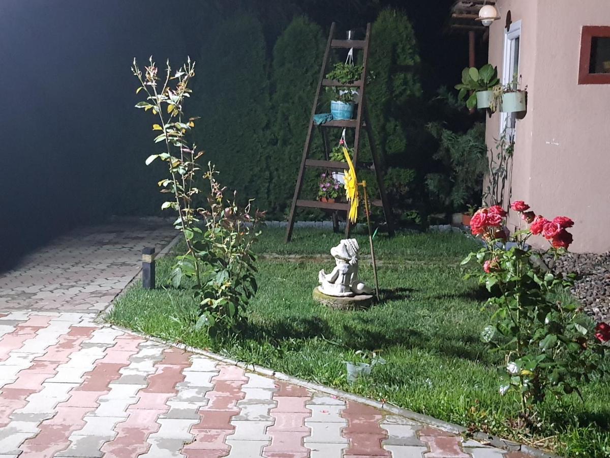 Casa Ella Διαμέρισμα Σιγκισοάρα Εξωτερικό φωτογραφία